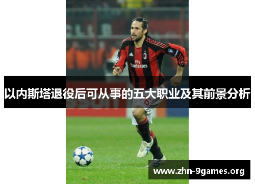 以内斯塔退役后可从事的五大职业及其前景分析