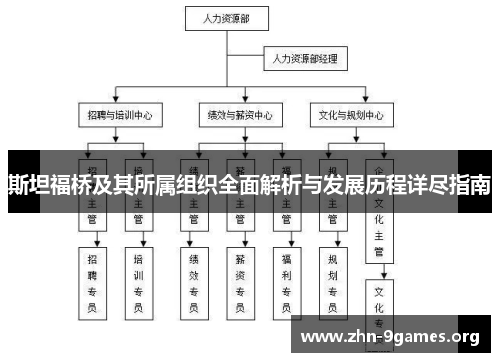 斯坦福桥及其所属组织全面解析与发展历程详尽指南